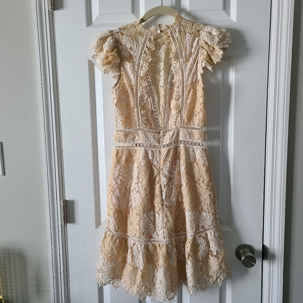 Saylor Kelly Lace Mini Dress - Picture 8 of 10